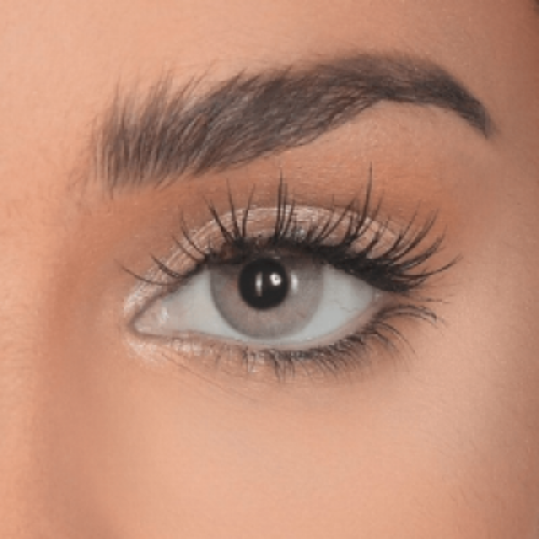 عدسات بيوتيس - Exotic Smokey Grey